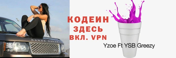 хмурый Богородск