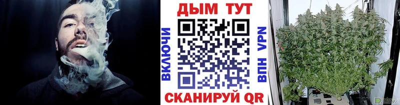 наркотики  ОМГ ОМГ ссылка  Бошки марихуана конопля  Духовщина 